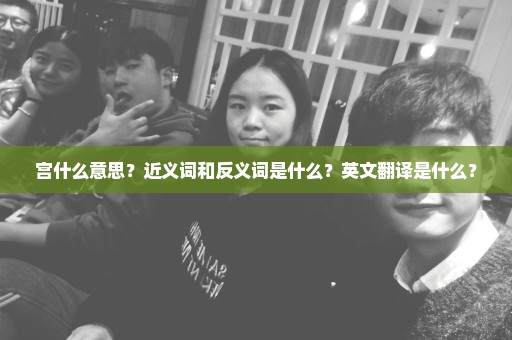 宫什么意思？近义词和反义词是什么？英文翻译是什么？