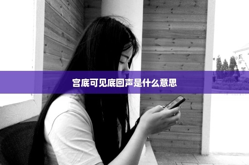 宫底可见底回声是什么意思