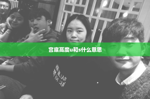 宫底高度u和s什么意思
