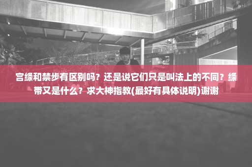 宫绦和禁步有区别吗？还是说它们只是叫法上的不同？绦带又是什么？求大神指教(最好有具体说明)谢谢