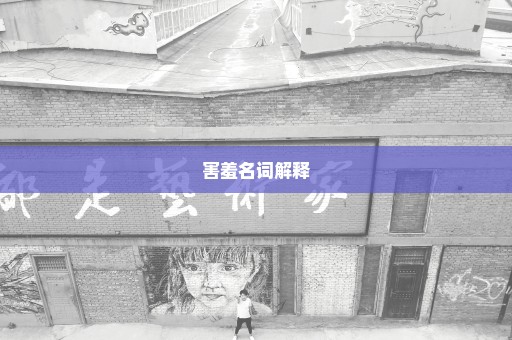 害羞名词解释