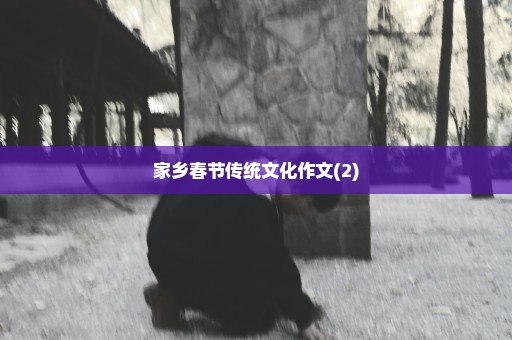 家乡春节传统文化作文(2)