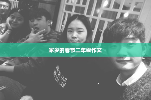 家乡的春节二年级作文