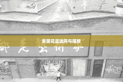 家居花盆选购与摆放