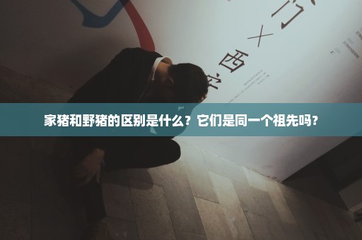 家猪和野猪的区别是什么？它们是同一个祖先吗？
