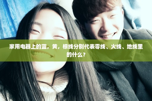 家用电器上的蓝，黄，棕线分别代表零线、火线、地线里的什么？
