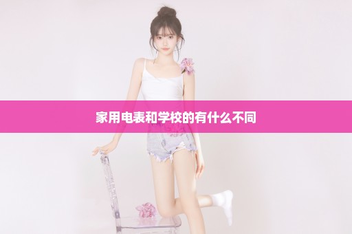 家用电表和学校的有什么不同