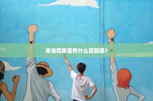 家禽和家畜有什么区别呢？