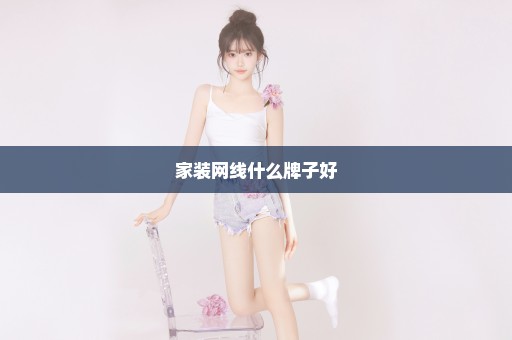 家装网线什么牌子好