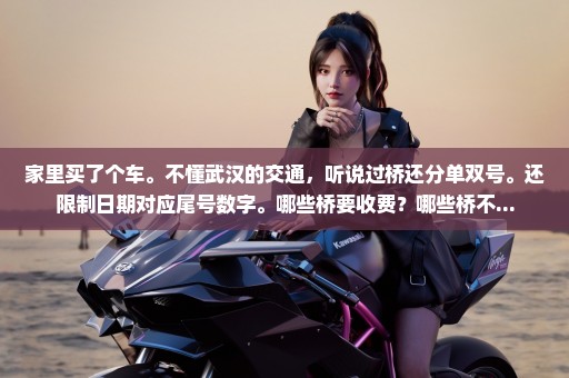 家里买了个车。不懂武汉的交通，听说过桥还分单双号。还限制日期对应尾号数字。哪些桥要收费？哪些桥不...