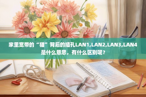 家里宽带的“猫”背后的插孔LAN1,LAN2,LAN3,LAN4是什么意思，有什么区别呢？