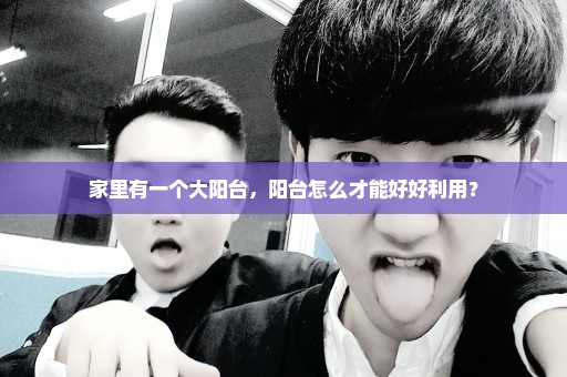 家里有一个大阳台，阳台怎么才能好好利用？