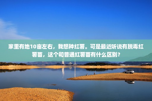 家里有地10亩左右，我想种红薯。可是最近听说有脱毒红薯苗，这个和普通红薯苗有什么区别？