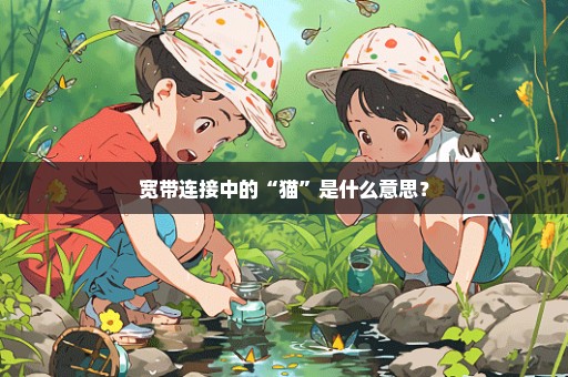 宽带连接中的“猫”是什么意思？