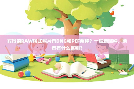 宾得的RAW格式照片有DNG和PEF两种？一般选哪种，两者有什么区别？