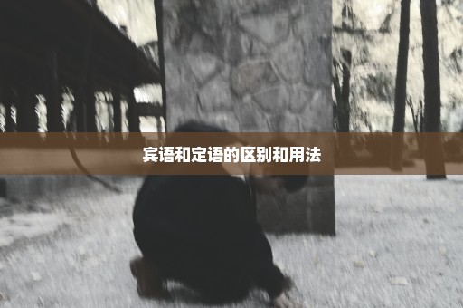 宾语和定语的区别和用法