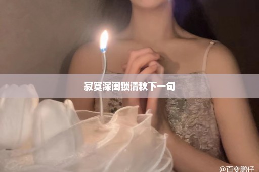 寂寞深闺锁清秋下一句