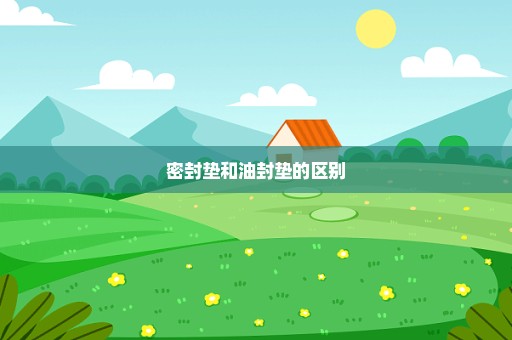 密封垫和油封垫的区别