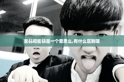 密码和密钥是一个意思么,有什么区别呢