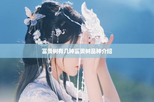 富贵树有几种富贵树品种介绍