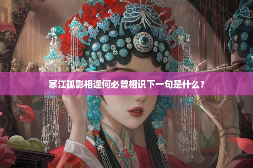 寒江孤影相逢何必曾相识下一句是什么？