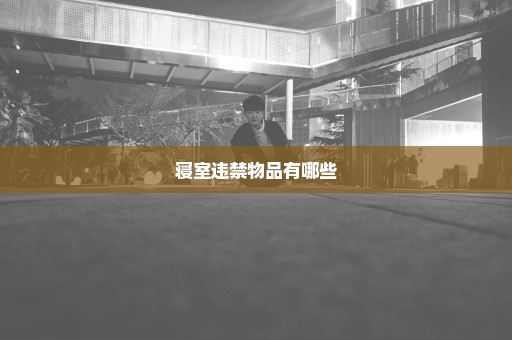 寝室违禁物品有哪些