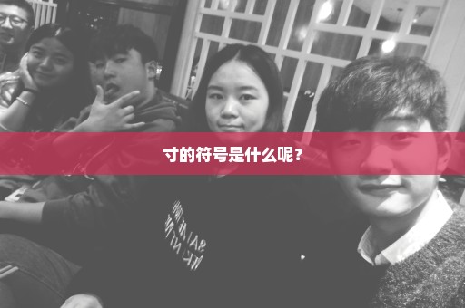 寸的符号是什么呢？