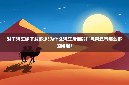 对于汽车你了解多少!为什么汽车后面的排气管还有那么多的用途？