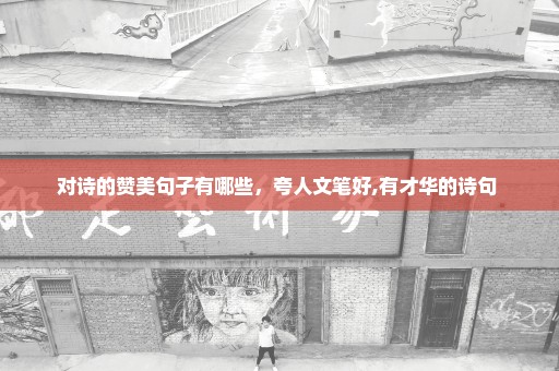 对诗的赞美句子有哪些，夸人文笔好,有才华的诗句 