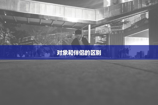 对象和伴侣的区别