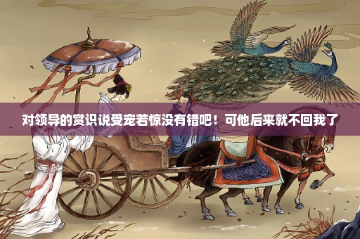 对领导的赏识说受宠若惊没有错吧！可他后来就不回我了