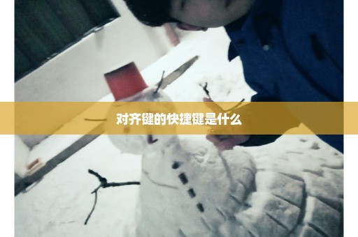 对齐键的快捷键是什么