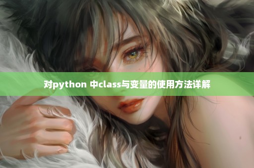 对python 中class与变量的使用方法详解