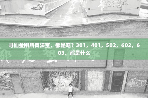 寻仙金刚所有法宝，都是啥？301，401，502，602，603，都是什么