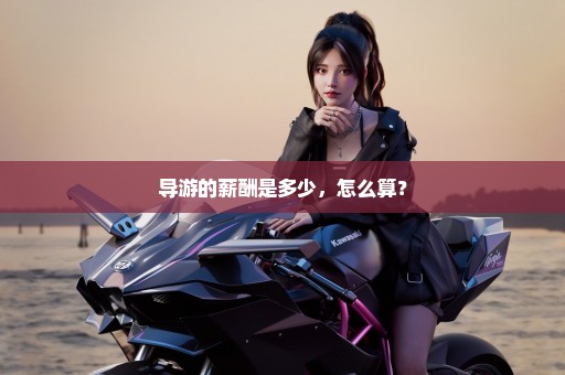 导游的薪酬是多少，怎么算？