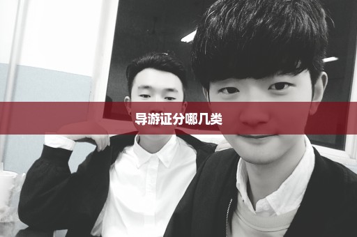 导游证分哪几类