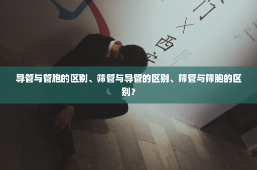 导管与管胞的区别、筛管与导管的区别、筛管与筛胞的区别？