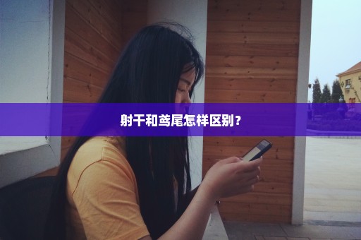 射干和鸢尾怎样区别？