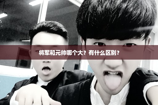 将军和元帅哪个大？有什么区别？