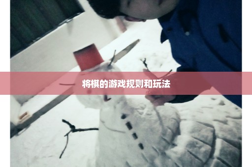 将棋的游戏规则和玩法