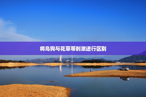 将鸟狗与花草等刺激进行区别