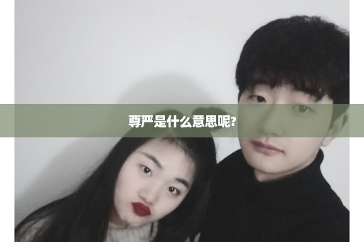 尊严是什么意思呢?