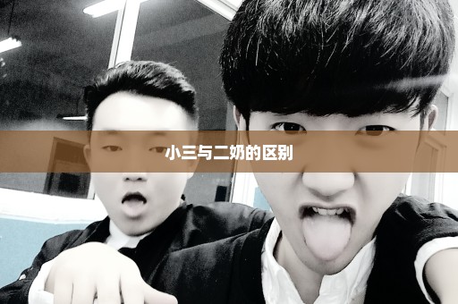 小三与二奶的区别