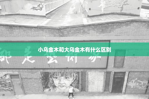 小乌金木和大乌金木有什么区别