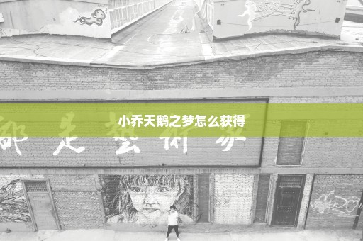 小乔天鹅之梦怎么获得