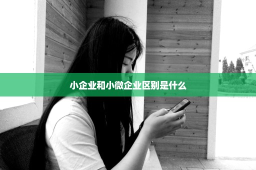 小企业和小微企业区别是什么