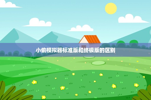 小偷模拟器标准版和终极版的区别