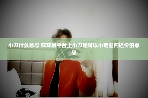 小刀什么意思 在交易平台上小刀是可以小范围内还价的意思