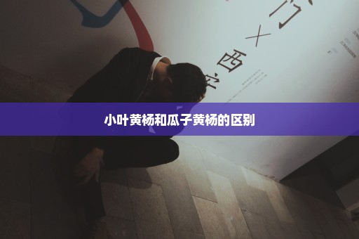 小叶黄杨和瓜子黄杨的区别