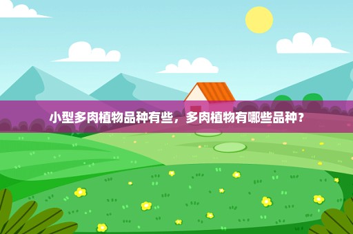 小型多肉植物品种有些，多肉植物有哪些品种？
